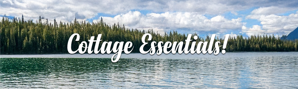 Lake Day Essentials: Ontario Lake Background